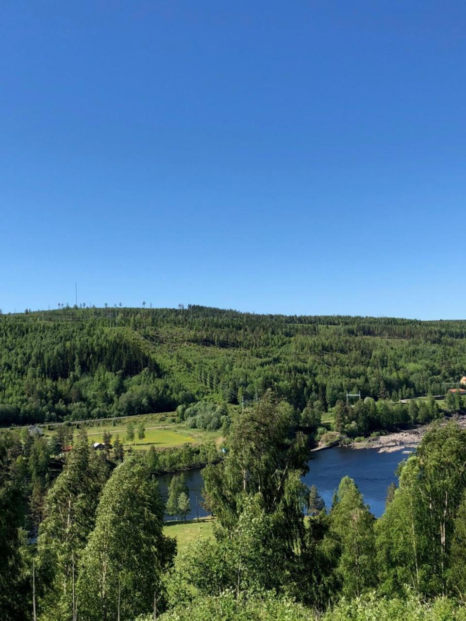 Hotell Restaurang Naemforsen Näsåker Exterior foto